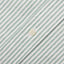 Green Stripe Spring Oxford
