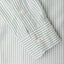 Green Stripe Spring Oxford