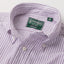 Purple Stripe Spring Oxford