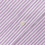 Purple Stripe Spring Oxford